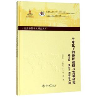 世界华侨华人研究文库第四批 以美国.爱尔兰和印度为例 全球化下 侨民战略与发展研究