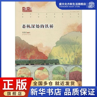 老林深处的铁桥 张国龙 著 儿童文学 少儿 中国少年儿童出版社 图书