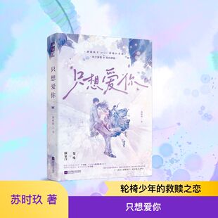 只想爱你青春小说