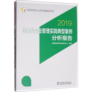 国内外企业管理实践典型案例分析报告 2019 国网能源研究院有限公司 编 水利电力 专业科技 中国电力出版社 9787519839352 图书