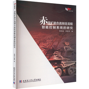 赤铁矿混合选别全流程智能控制系统 地质 研究冶金