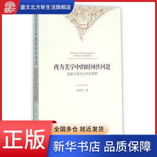 西方美學中 現象學美學之外 視野 時間性問題
