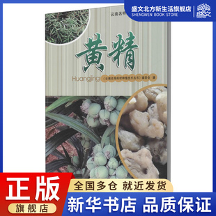 黄精 《云南名特药材种植技术丛书》编委会 编 种植业 专业科技 云南科技出版社 9787558729782 图书