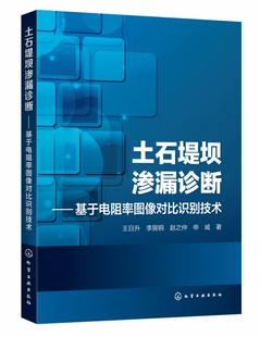土石堤坝渗漏诊断 主要介绍土 基于电阻率图像对比识别技术