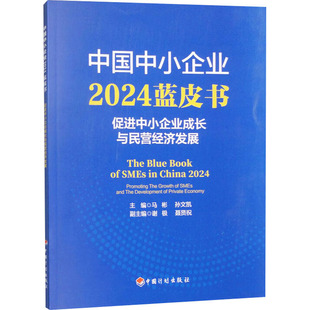 中国中小企业2024蓝皮书 法规 促进中小企业成长与民营经济发展经济理论