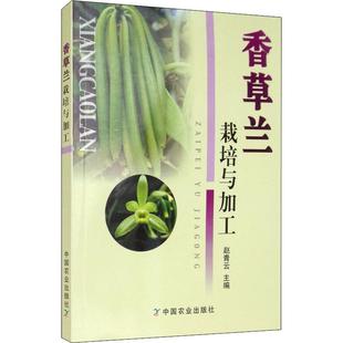 编 种植业 9787109248311 赵青云 图书 社 著 中国农业出版 香草兰栽培与加工 专业科技
