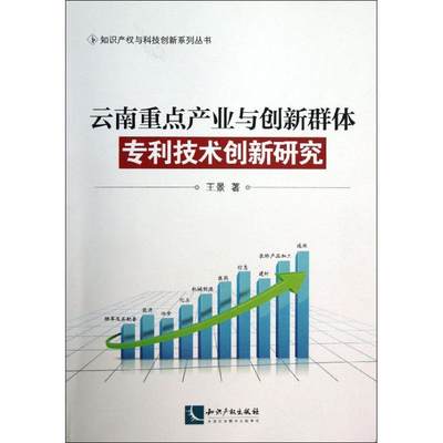 云南重点产业与创新群体专利技术创新研究 王景 著作 经济理论、法规 经管、励志 知识产权出版社 图书