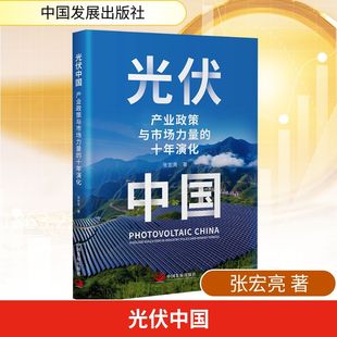光伏中国 : 产业政策与市场力量的十年演化经济理论、法规