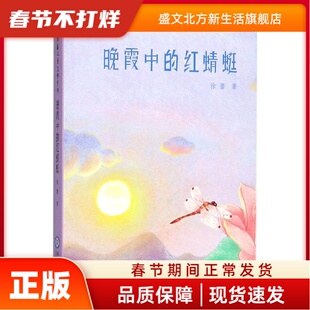 晚霞中的红蜻蜓 徐鲁 现代教育出版社 新华书店正版