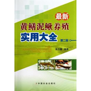 专业科技 图书 第2版 9787109180710 社 中国农业出版 养殖 著 高志慧 黄鳝泥鳅养殖实用大全 最新