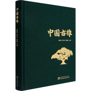 中国林业出版 安家成 社 农业 9787521916713 书籍正版 林业 中国古樟