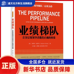 业绩梯队：让各层级做出正确的业绩 （美） 斯蒂芬·德罗特(Stephen Drotter) 机械工业出版社 新华书店正版