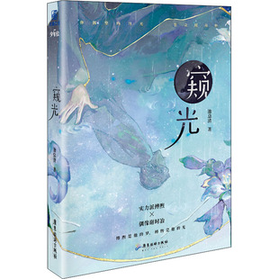 青春小说 著 文学 广东旅游出版 图书 窥光 社 池总渣