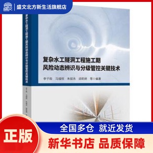 复杂水工隧洞工程施工期风险动态辨识与分级管控关键技术 李子阳等编著 河海大学出版社 新华书店正版