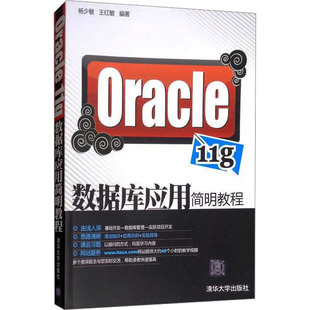 Oracle 11g数据库应用简明教程 杨少敏，王红敏 清华大学出版社 新华书店正版