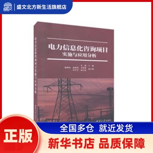电力信息化咨询项目实施与应用分析 李强,施明泰,赵建伟 清华大学出版社有限公司 新华书店正版