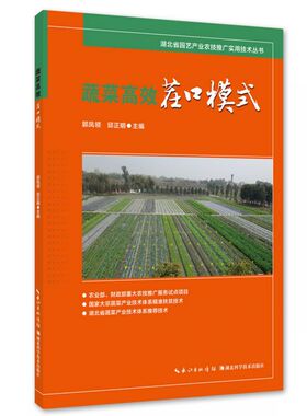 蔬菜高效茬口模式/湖北省园艺产业农技推广实用技术丛书