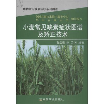 小麦常见缺素症状图谱及矫正技术  鲁剑巍 等 著作 种植业 专业科技 中国农业出版社 9787109184022 图书