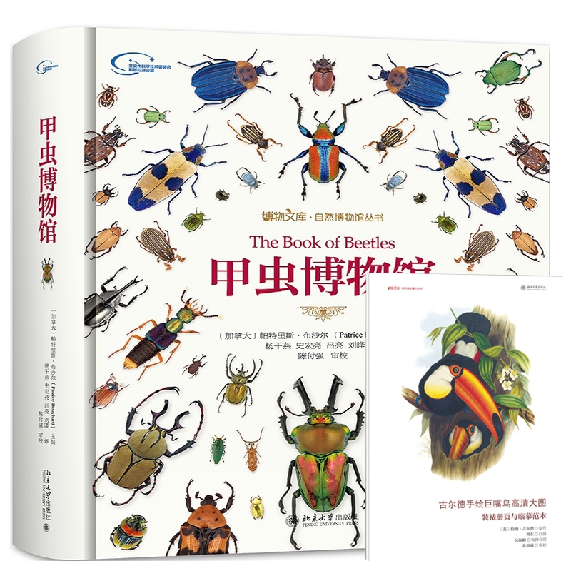 甲虫博物馆+古尔德手绘巨嘴鸟高清大图