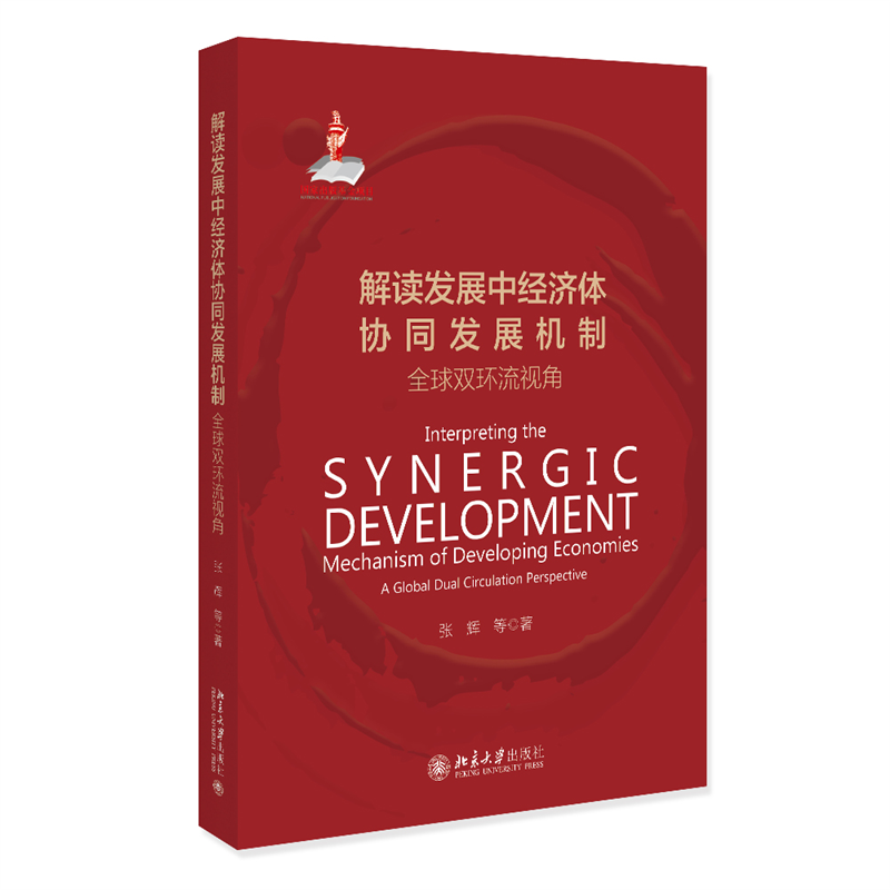 书籍正版 解读发展中经济体协同发展机制:全球双环流视角:a global dual circulation  张辉等 北京大学出版社 经济 9787301339671