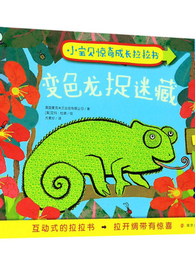 变色龙捉迷藏 英国麦克米兰出版有限公司(Macmillan Publishers Ltd) 著 方素珍 译 (英)艾玛·杜德(Emma Dodd) 绘 低幼启蒙 少儿