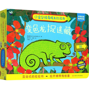 Dodd 有限公司 Ltd Publishers 变色龙捉迷藏 方素珍 Emma 绘 艾玛·杜德 Macmillan 英 译 少儿 低幼启蒙 著 英国麦克米兰出版