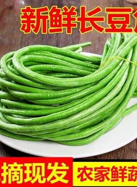 豇豆新鲜长豆角农家自种嫩豇豆 5斤绿色时令蔬菜四季长豆角泡菜包