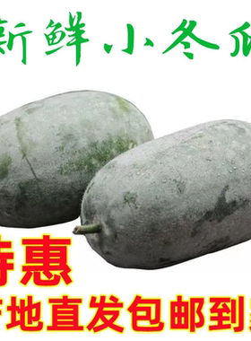 【水果冬瓜】香冬瓜迷你小冬瓜挂霜毛冬瓜节瓜时令新鲜蔬菜批发价