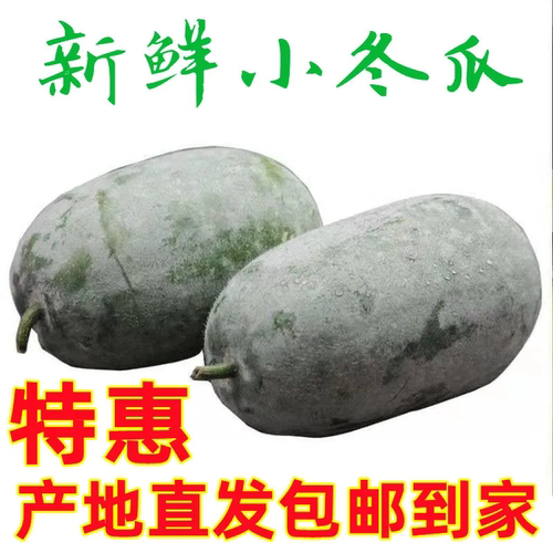 【水果冬瓜】香冬瓜迷你小冬瓜挂霜毛冬瓜节瓜时令新鲜蔬菜批发价