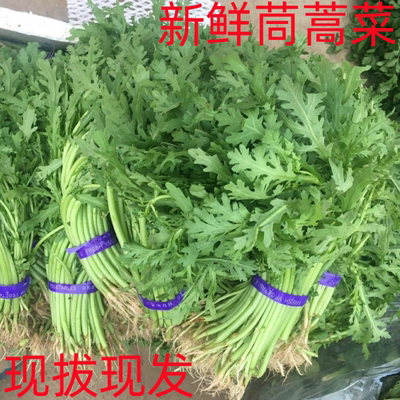 茼蒿菜新鲜蔬菜农家自种花叶