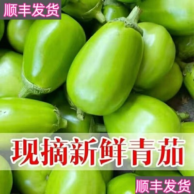 河南现摘鲜嫩茄子京东顺丰包邮