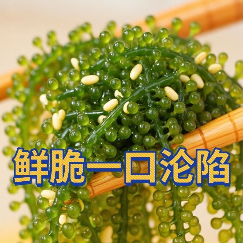 儿童海葡萄凉拌盐渍绿色鱼子酱非即食泡发火锅日料食材商用批发品
