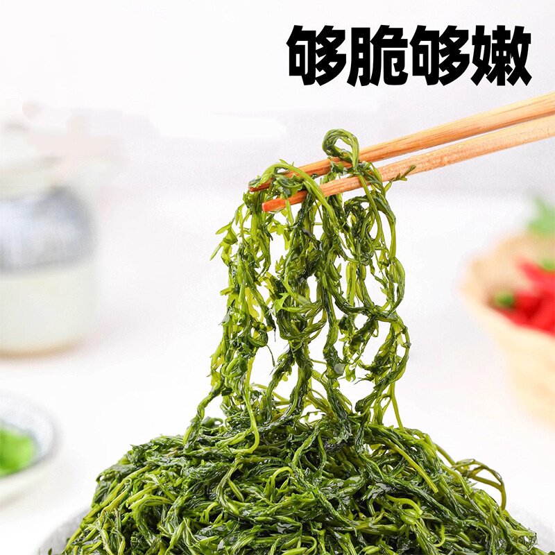 盐渍鞭炮笋250g袋装鲜嫩海笋家用凉拌涮火锅麻辣烫商用食材马尾藻