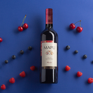 大地梅洛红酒干红葡萄酒750ml 智利进口正品红酒