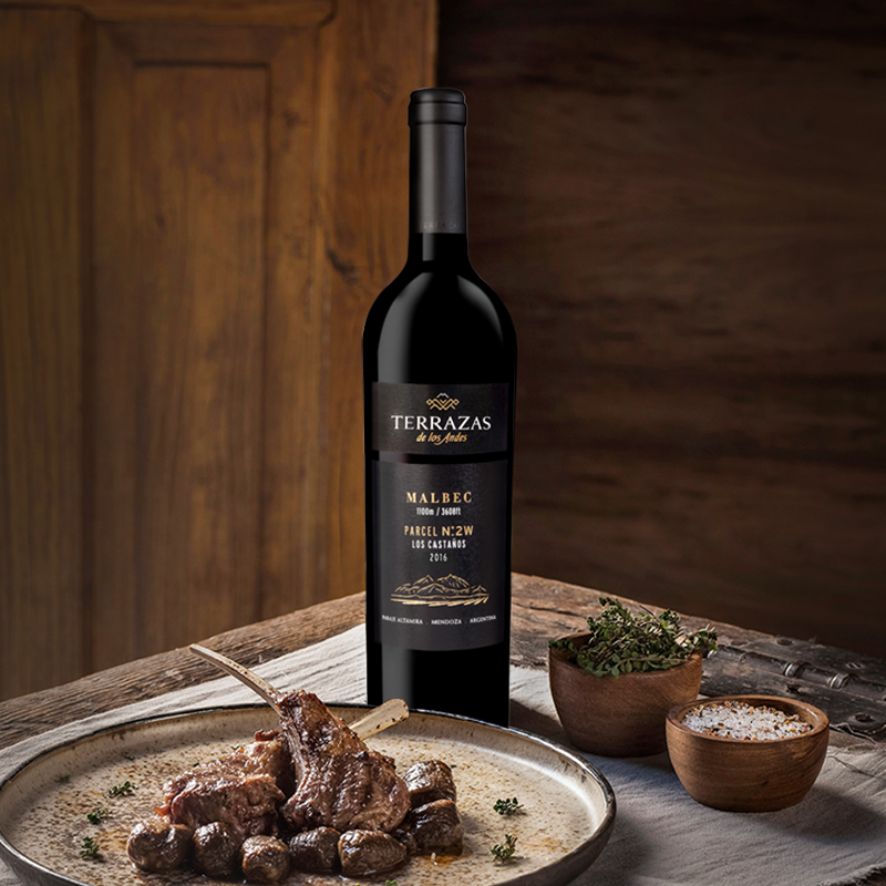 台阶安第斯山脉二号一园葡萄酒