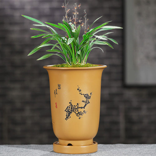 紫砂简约中国风金钟花盆