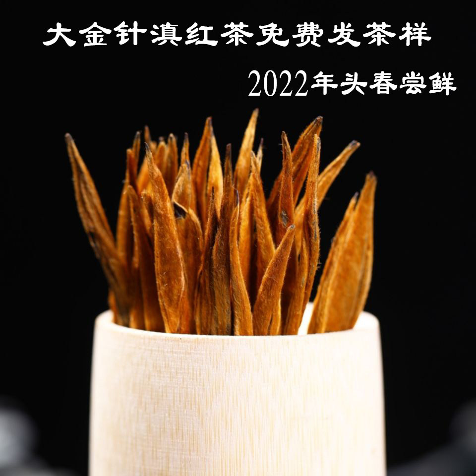 大金针滇红茶凤庆金牙2024浓香型蜜香花香金枝散茶500g礼盒装