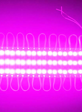 3灯粉红光 LED5054紫色光模组 12V滴胶防水 粉红色模组广告发光字