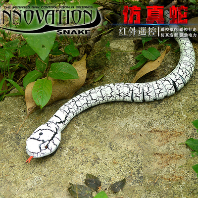 遥控蛇玩具仿真动物眼镜蛇电动