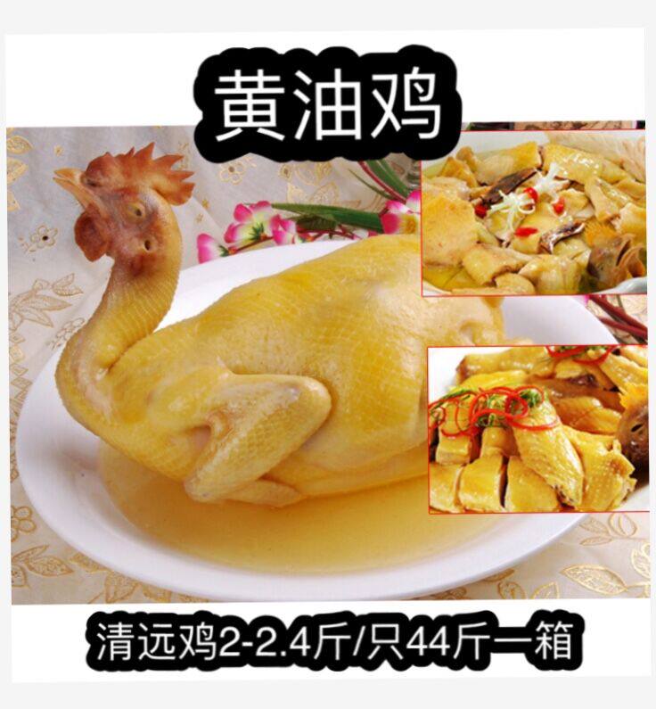 黄油1只44斤速冻适合包邮鸡肉