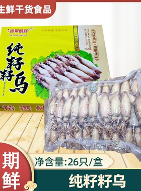 海兔子满籽籽乌26只笔管鱼乌贼个带籽鲜活蒸熟冷冻海鲜水产礼盒装