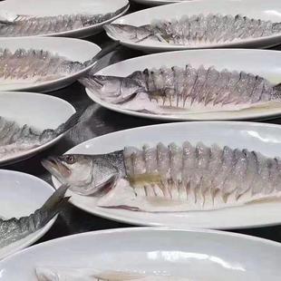 冯味功夫鱼半条700g腌制海鲈鱼速冻花刀鲈鱼清蒸装酒店半成品食材