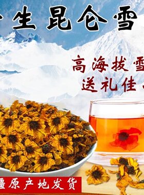 昆仑雪菊新疆野生特级非胎菊王天山雪菊花150克野菊花新货去肝火