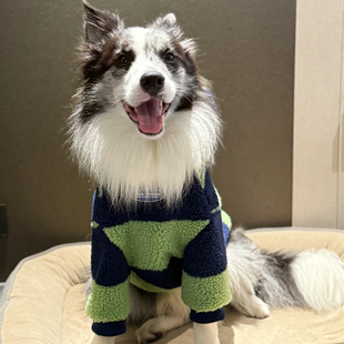 边牧衣服冬季保暖羊羔毛衣服拉布拉多金毛中大型犬潮牌加厚衣服冬