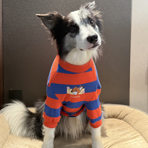 边牧衣服潮牌可爱薄款春秋衣服