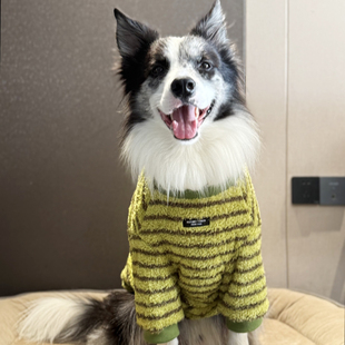 边牧衣服冬季保暖双面绒衣服拉布拉多金毛中大型犬冬防掉毛保暖衣