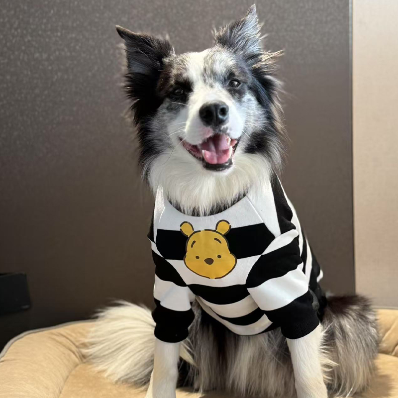 边牧春秋薄款卫衣保暖衣服