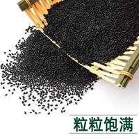 Fresh raw black sesame seeds, grown by farmers themselves, are clean and free of sand thumbnail 3