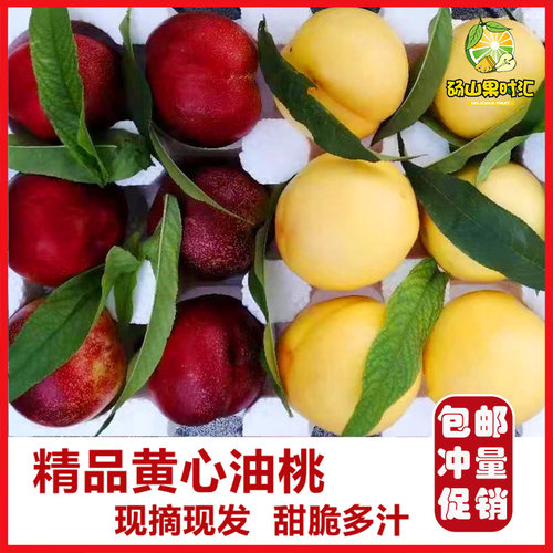 桃子新鲜水果油桃现摘黄心油桃新鲜水果5斤包邮大果应季孕妇助农