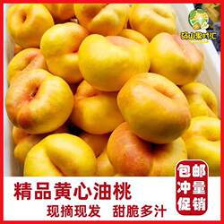 正宗黄金蟠桃5斤桃子新鲜黄肉油蟠桃毛潘桃脆甜扁桃蜜桃包邮现摘